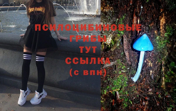 скорость Лагань