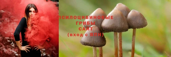 мет Ладушкин