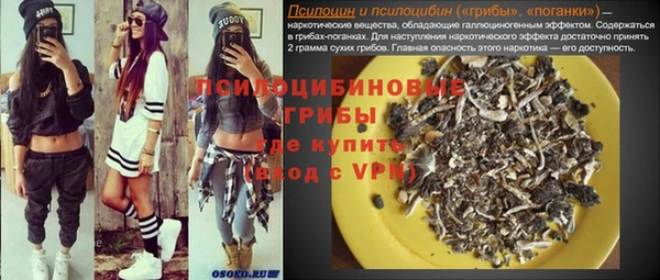 мдпв Лабытнанги