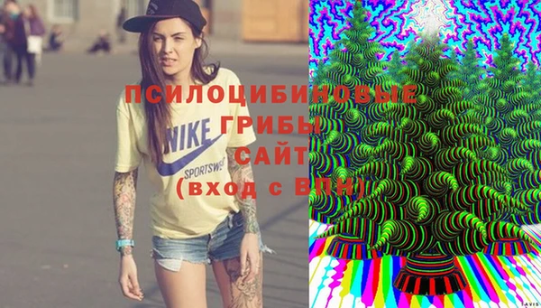 скорость Лагань