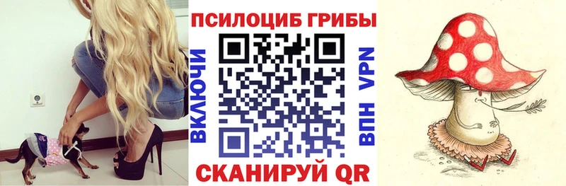 Псилоцибиновые грибы мухоморы купить наркоту Горячеводский